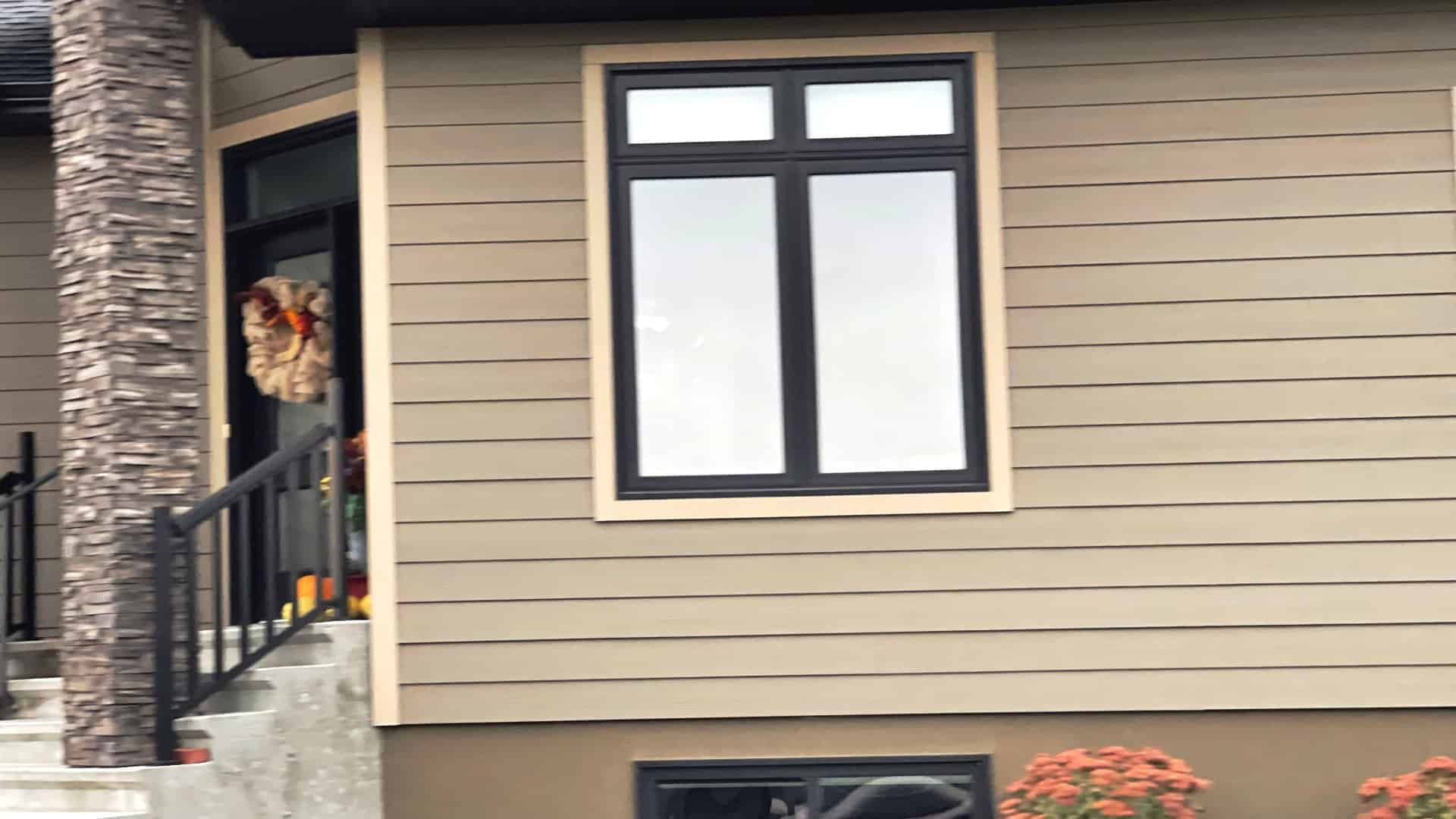 Black Windows