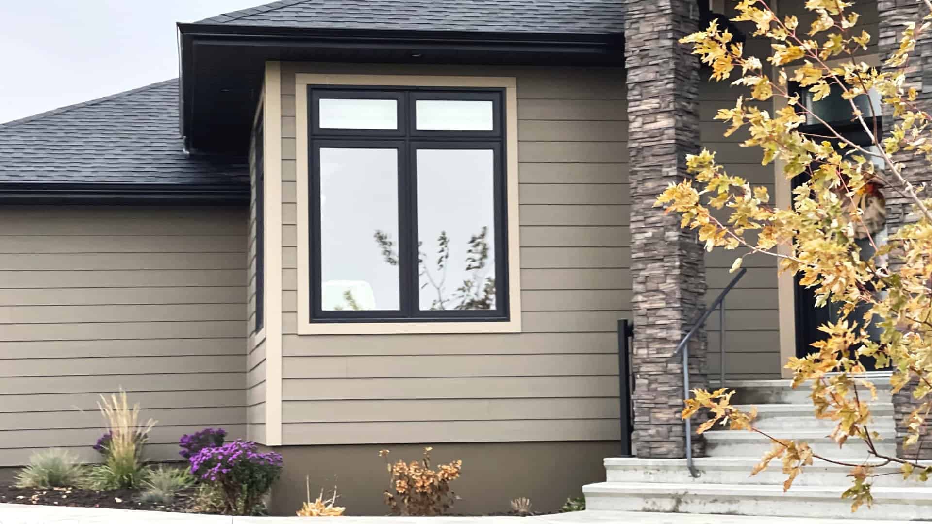 Black Windows