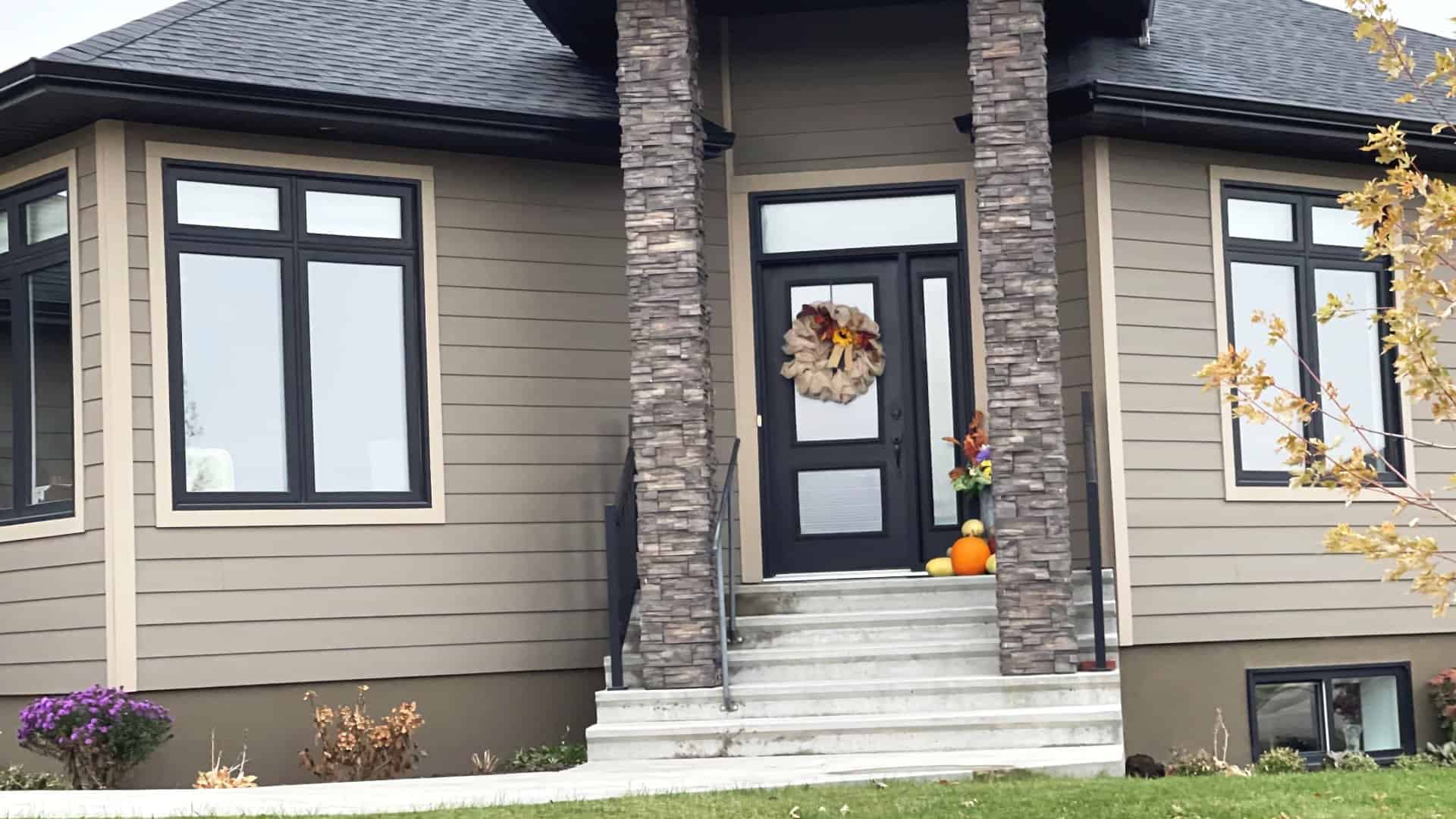 Black Windows