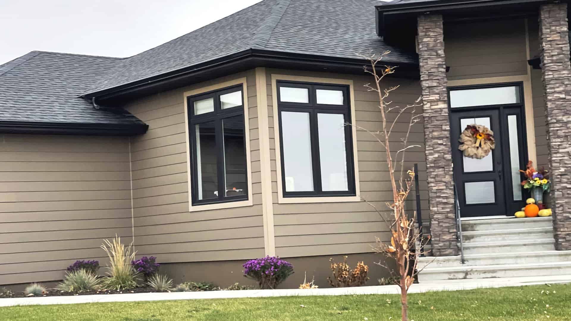 Black Windows